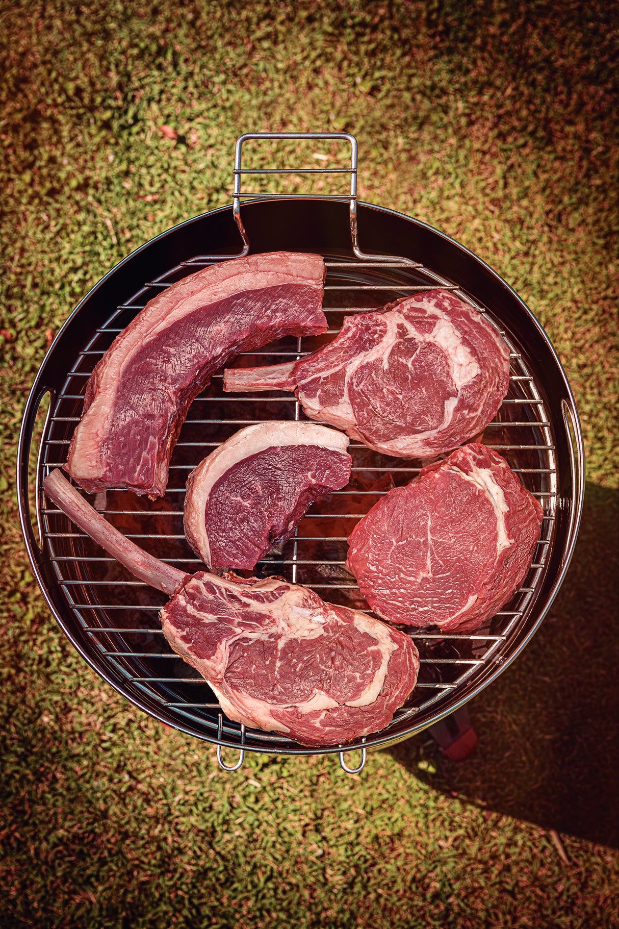 Tramontina Parrilla Grill a Carbón TCP 400 de Acero Inoxidable